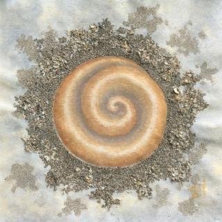 2019-Espiral-Sideral
