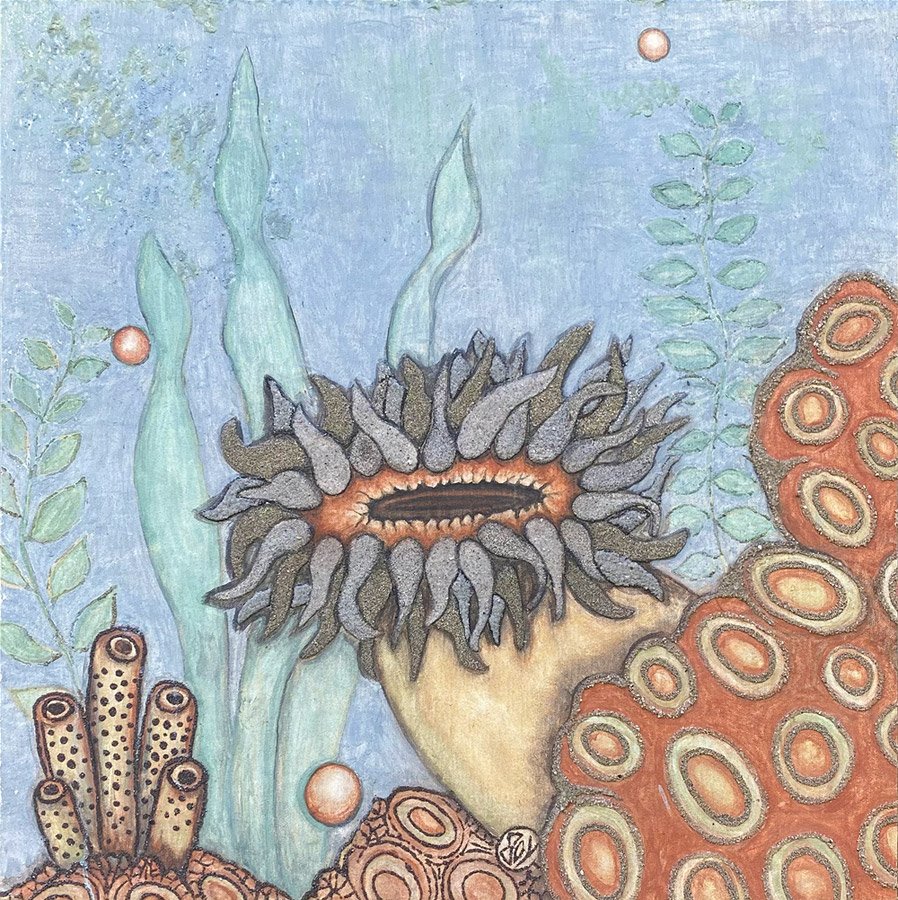 anemone