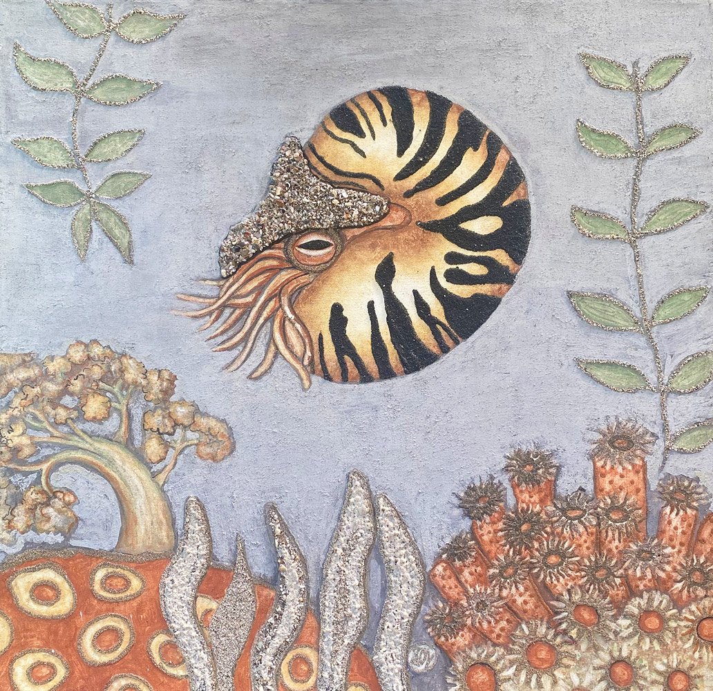 nautilus2